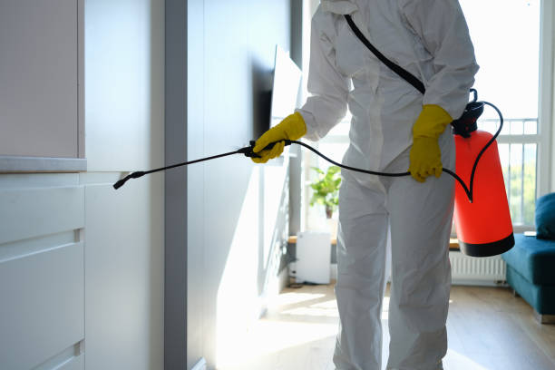Best Office Mold Removal Services  in Ellisville, MO