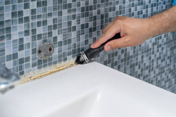 Best Commercial Mold Removal  in Ellisville, MO